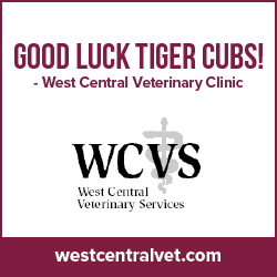 FFClassic_BannerAds_HalfPg250x250_WCVS